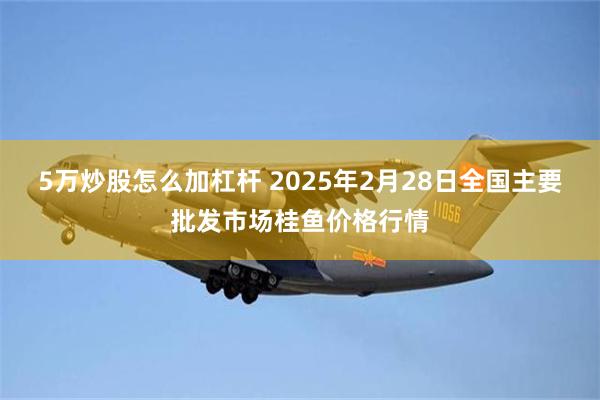 5万炒股怎么加杠杆 2025年2月28日全国主要批发市场桂鱼价格行情
