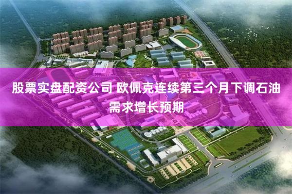 股票实盘配资公司 欧佩克连续第三个月下调石油需求增长预期