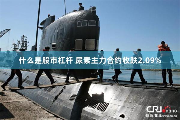 什么是股市杠杆 尿素主力合约收跌2.09%