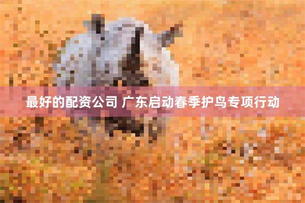 最好的配资公司 广东启动春季护鸟专项行动