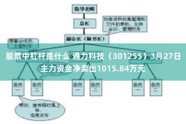 股票中杠杆是什么 通力科技（301255）3月27日主力资金净卖出1015.84万元