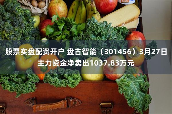股票实盘配资开户 盘古智能（301456）3月27日主力资金净卖出1037.83万元
