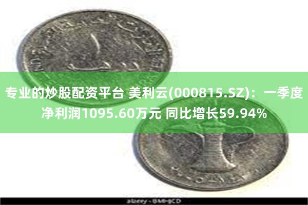 专业的炒股配资平台 美利云(000815.SZ)：一季度净利润1095.60万元 同比增长59.94%
