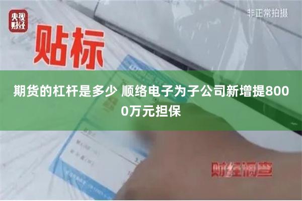 期货的杠杆是多少 顺络电子为子公司新增提8000万元担保