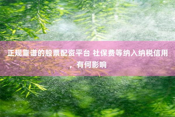 正规靠谱的股票配资平台 社保费等纳入纳税信用，有何影响