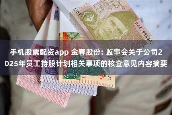 手机股票配资app 金春股份: 监事会关于公司2025年员工持股计划相关事项的核查意见内容摘要