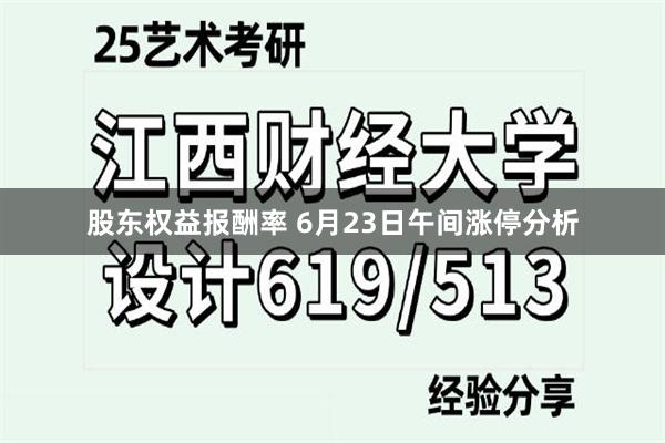 股东权益报酬率 6月23日午间涨停分析