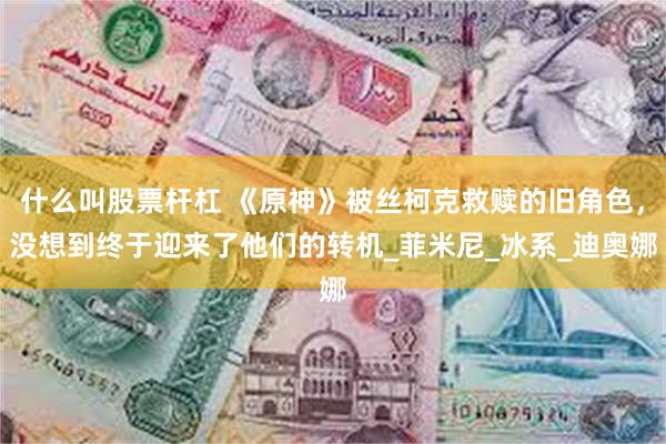 什么叫股票杆杠 《原神》被丝柯克救赎的旧角色，没想到终于迎来了他们的转机_菲米尼_冰系_迪奥娜