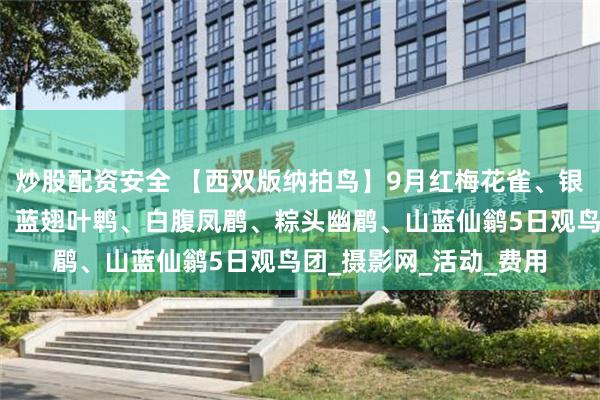 炒股配资安全 【西双版纳拍鸟】9月红梅花雀、银胸丝冠鸟、黑枕王鹟、蓝翅叶鹎、白腹凤鹛、粽头幽鹛、山蓝仙鹟5日观鸟团_摄影网_活动_费用