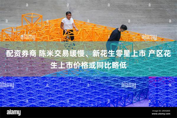 配资券商 陈米交易缓慢、新花生零星上市 产区花生上市价格或同比略低