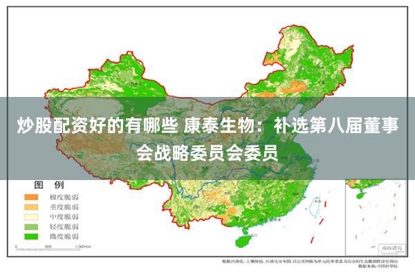 炒股配资好的有哪些 康泰生物：补选第八届董事会战略委员会委员