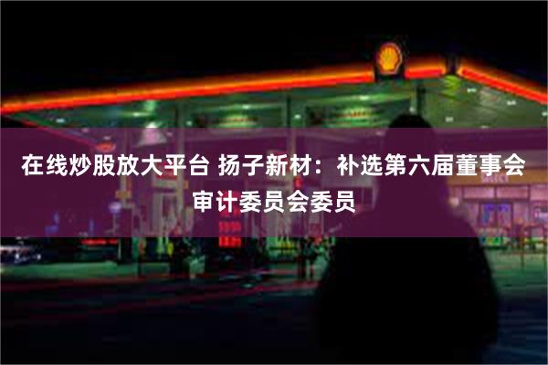 在线炒股放大平台 扬子新材：补选第六届董事会审计委员会委员
